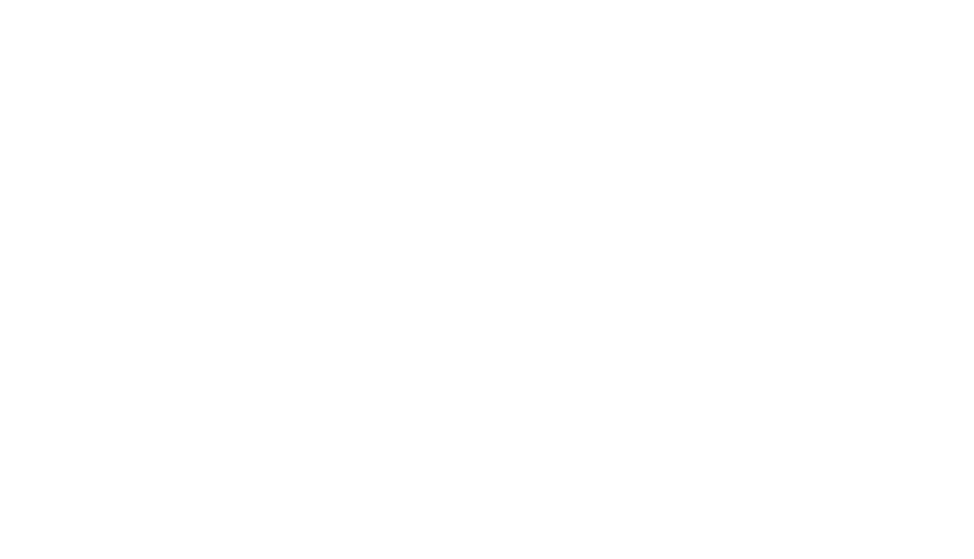 logo img